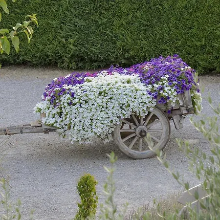 Casa Di Campagna In Toscana