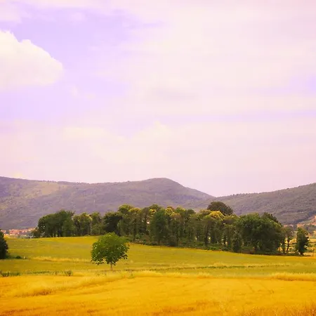 Country house Casa Di Campagna In Toscana Sovicille