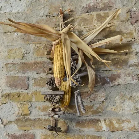 In Toscana * Sovicille
