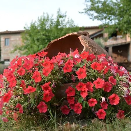 In Toscana *