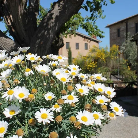 Gospodarstwo wiejskie In Toscana Sovicille