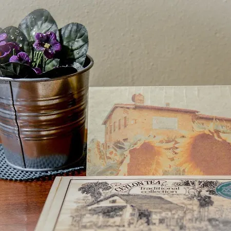 Casa Di Campagna In Toscana Landhaus Sovicille